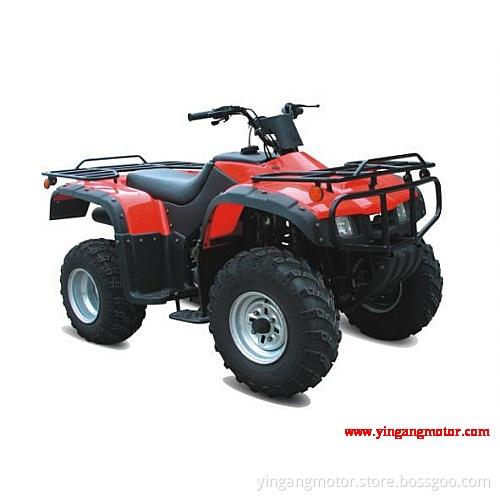 ATV Motorcycle (YG250ATV-5S)